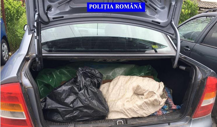 Foto: Politia Judeteana Valcea